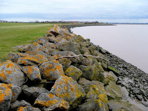 Photo 6"x4" Severn shoreline Tutnalls c2009