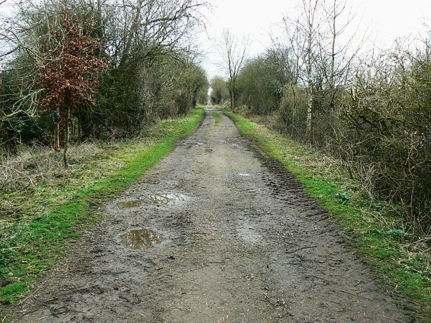Photo 6"x4" Trackbed of the Midland and South Western Railway, near Baunton Baunton c2009
