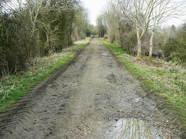 Photo 6"x4" Trackbed of the Midland and South Western Railway, near Baunton Baunton c2009 P1