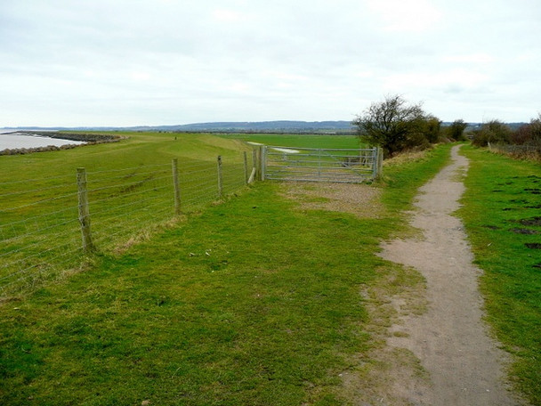 Photo 6"x4" Diverging paths Tutnalls c2009