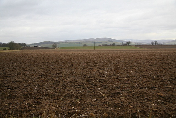 Photo 6"x4" Field, Miltonbank farm Oathlaw c2009