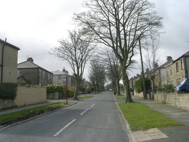 Photo 6"x4" Kenley Avenue - Moore Avenue Bradford\/SE1632 c2009