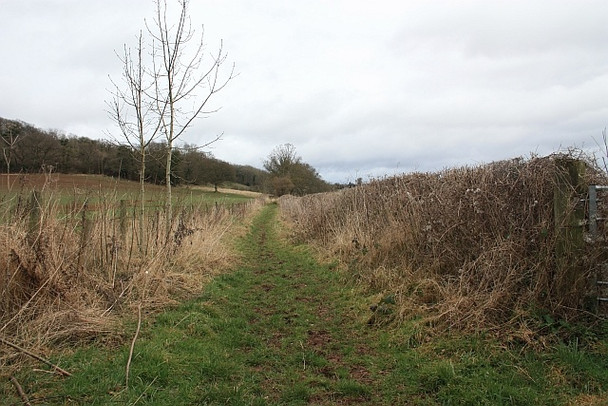 Photo 6"x4" Bridleway to Hundred Bank Ullingswick c2009