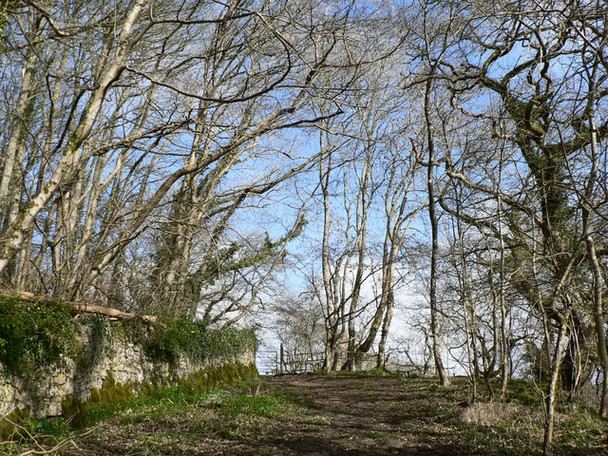 Photo 6"x4" Footpath to Old Castle Down, Castle-upon-Alun. Castle-upon-Alun c2009