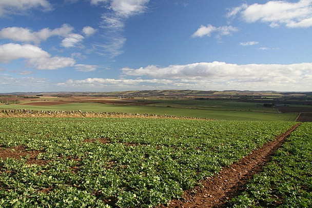 Photo 6"x4" Field, Soutra Hill Memus c2009