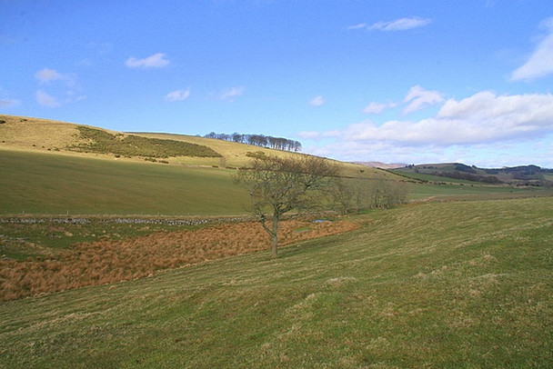 Photo 6"x4" Grassland, Soutra Hill Memus c2009
