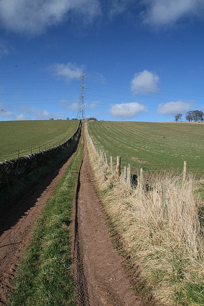 Photo 6"x4" Track up towards White Hill Memus c2009