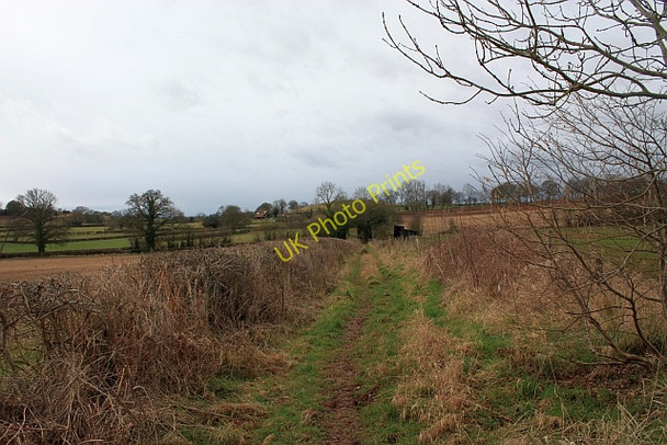Photo 6"x4" Bridleway from Hundred Bank Ullingswick c2009
