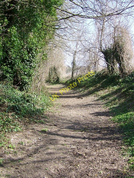 Photo 6"x4" Bowling Green Lane, Pentridge Pentridge c2009