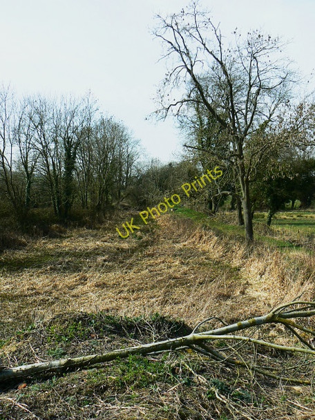 Photo 6"x4" Wilts and Berks canal, near Bradenstoke The Banks\/SU0179 c2009