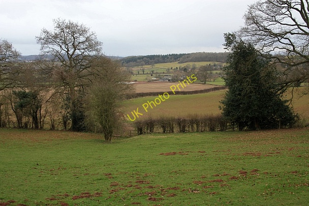 Photo 6"x4" Footpath to Ullingswick Bleak Acre c2009