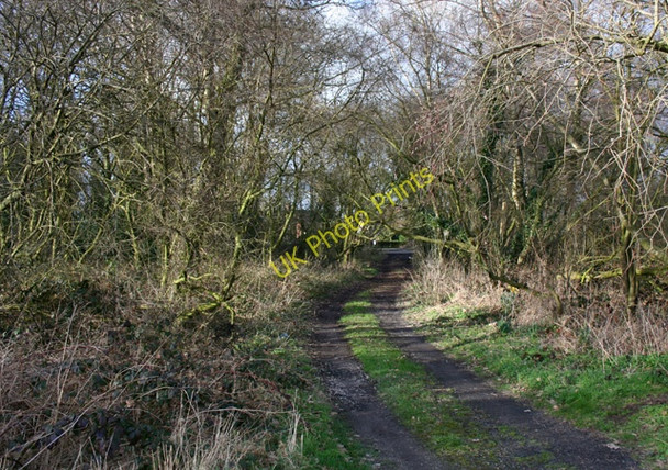 Photo 6"x4" Track through scrubland at Sound Heath Sound Heath c2009
