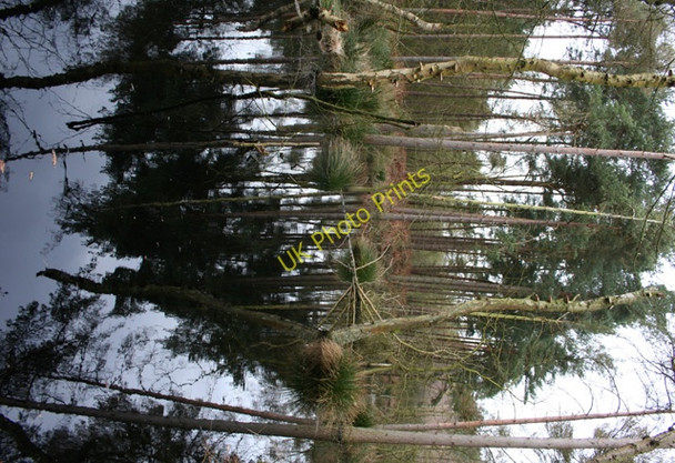 Photo 6"x4" Reflections in mere by Barnsbridge Gate Hatchmere c2009