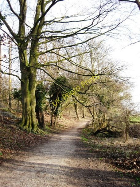 Photo 6"x4" The Ridgeway and Bridleway go South Aldbury c2009
