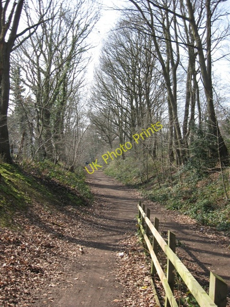 Photo 6"x4" Disused Railway line, Welwyn Garden City Welwyn Garden City c2009