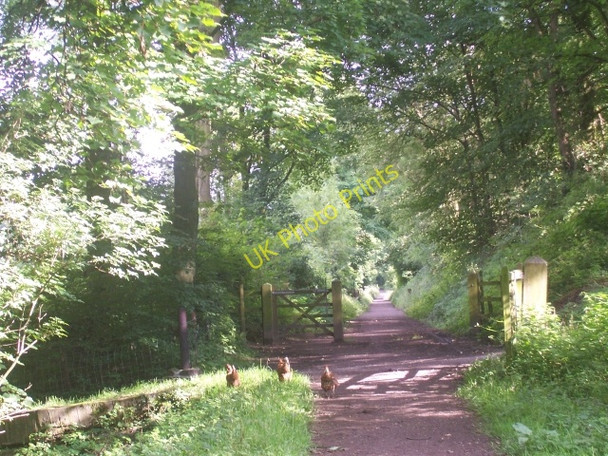 Photo 6"x4" Footpath near Thornhill Thornhill\/SK1983 c2008