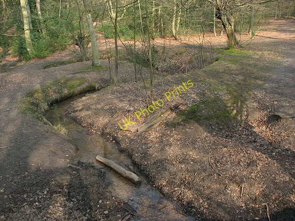 Photo 6"x4" Epping Forest: meanders in a stream Loughton\/TQ4396 c2009