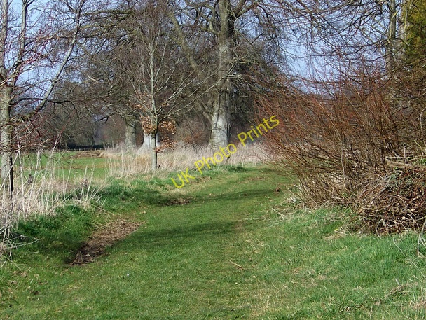 Photo 6"x4" Footpath to Babington Newbury\/ST6950 c2009