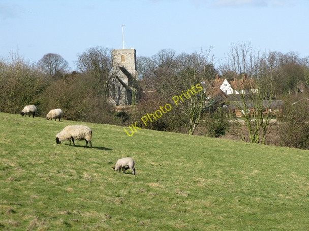 Photo 6"x4" The church at Eastry from near Hay Hill Buttsole c2009