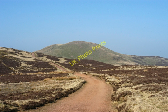 Photo 6"x4" Military road at Fala Knowe Woodhouselee c2009