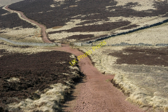 Photo 6"x4" Military road Under Fala Knowe Woodhouselee c2009
