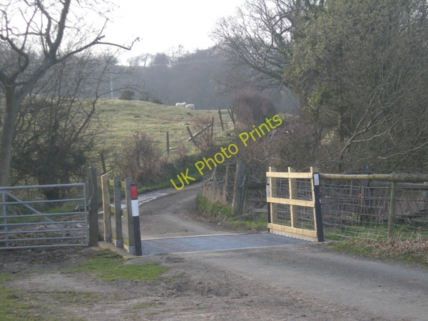 Photo 6"x4" A cattle grid at Womberton Woolstaston c2009