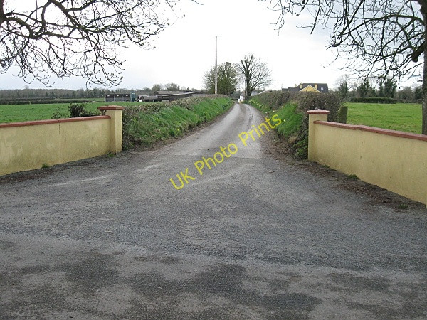 Photo 6"x4" Entrance and Avenue Kilmangah c2009