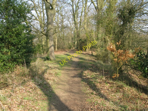 Photo 6"x4" Path towards the River Wey Guildford c2009
