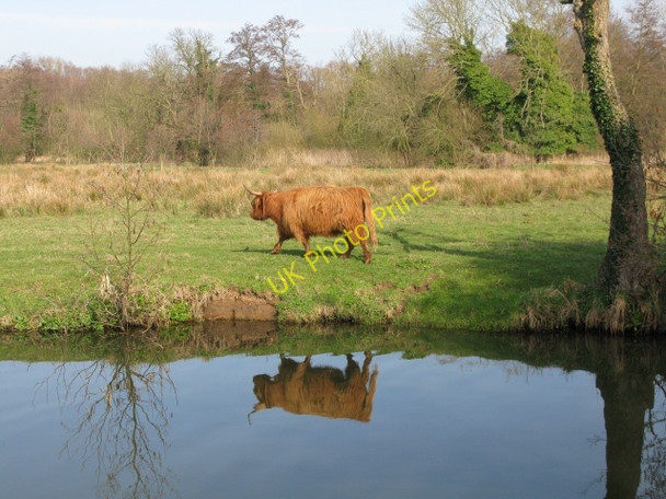 Photo 6"x4" Time to reflect Guildford c2009