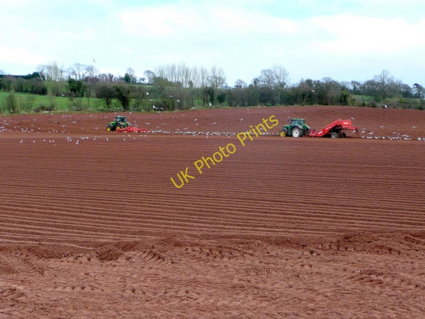 Photo 6"x4" Spuds going in Linton Hill\/SO6624 c2009