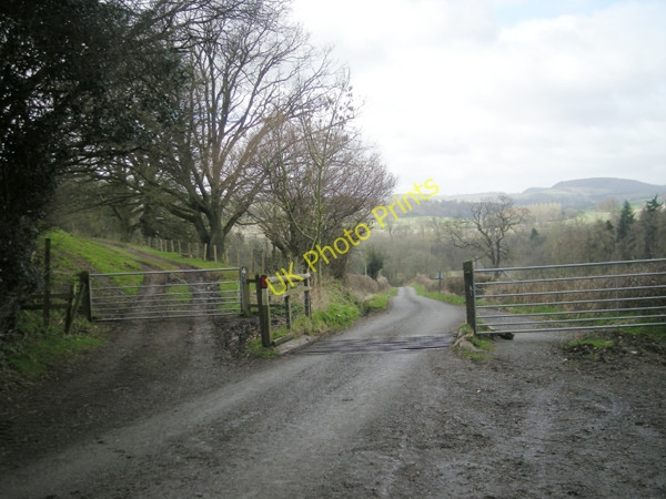 Photo 6"x4" Cattle grid on 'The Jack Mytton Way' Plowden c2009