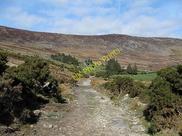 Photo 6"x4" Rough Track Kiltealy c2009