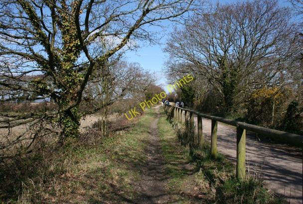Photo 6"x4" Hayling Billy Trail West Town\/SZ7199 c2009