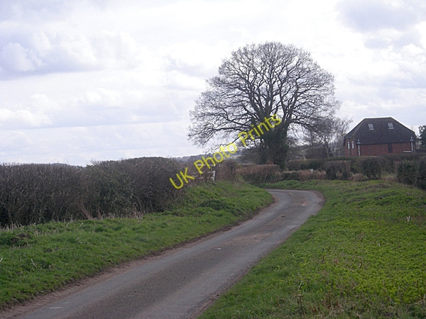 Photo 6"x4" Quiet lane near Trescott Great Moor\/SO8398 c2009