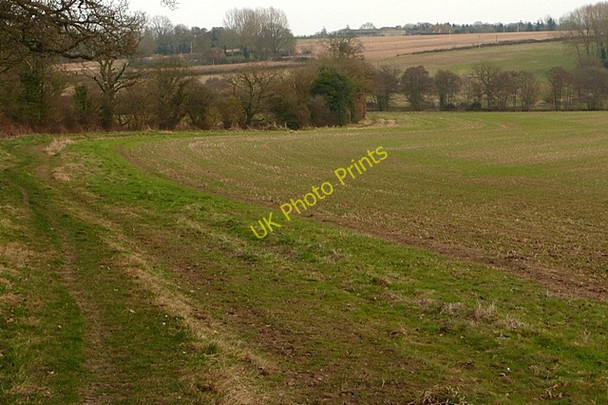 Photo 6"x4" Fields east of Hyde End Hyde End\/SU5563 c2009