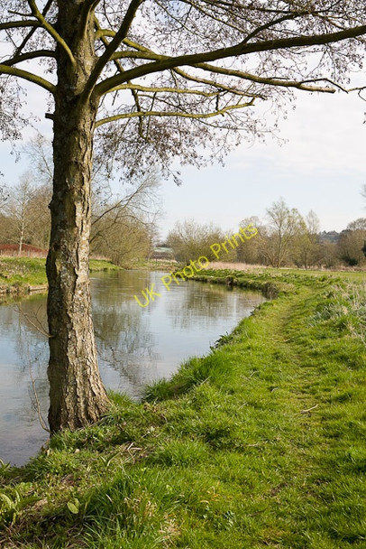 Photo 6"x4" Path along River Itchen west of Gater Field Winchester c2009