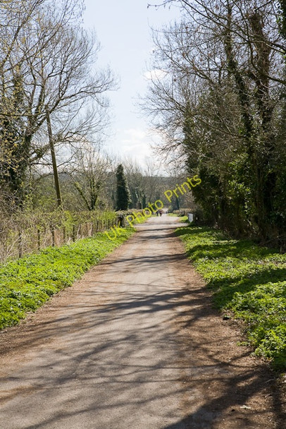 Photo 6"x4" Five Bridges Road to Hockley Viaduct Winchester c2009