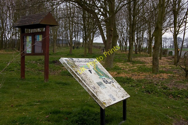 Photo 6"x4" Towthorpe Corner picnic site Goodmanham c2009