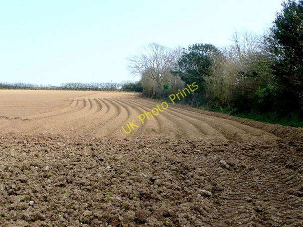 Photo 6"x4" Perfect potato land Cockwells c2009