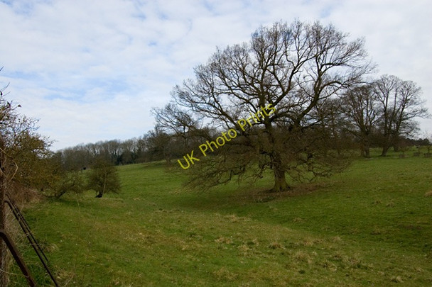 Photo 6"x4" Londesborough Park Londesborough c2009