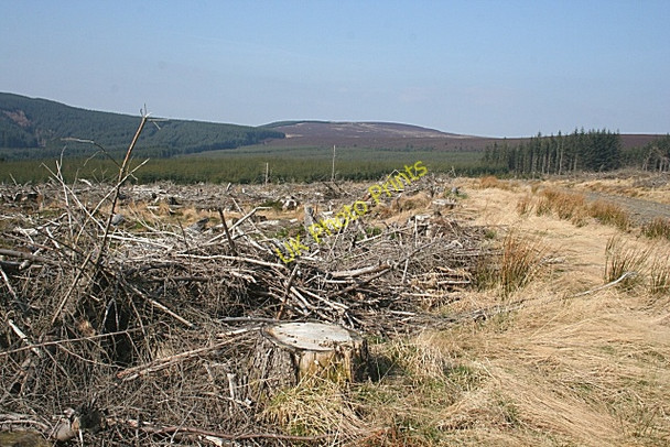 Photo 6"x4" Looking Towards Brown Hill Corrylair c2009