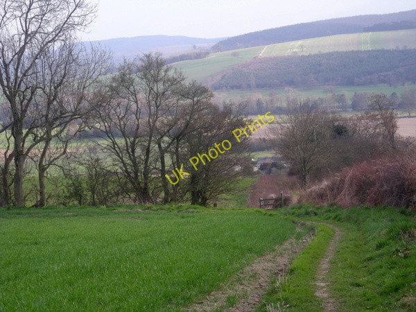 Photo 6"x4" Footpath down to Lydbury North Lydbury North c2009