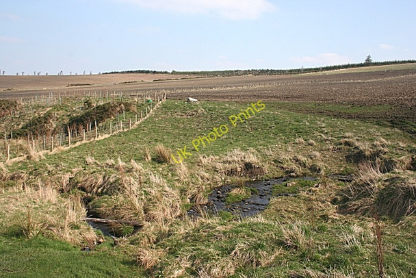 Photo 6"x4" Near Gordonsburn Craighead\/NJ4940 c2009