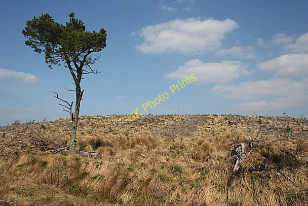 Photo 6"x4" Brown Hill Craighead\/NJ4940 c2009