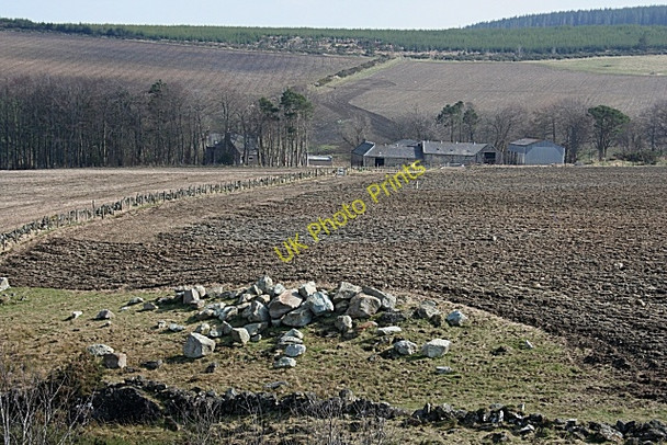 Photo 6"x4" Lower Gordonsburn Craighead\/NJ4940 c2009