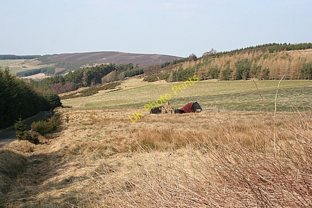 Photo 6"x4" Ruin in a Field Haugh of Glass c2009