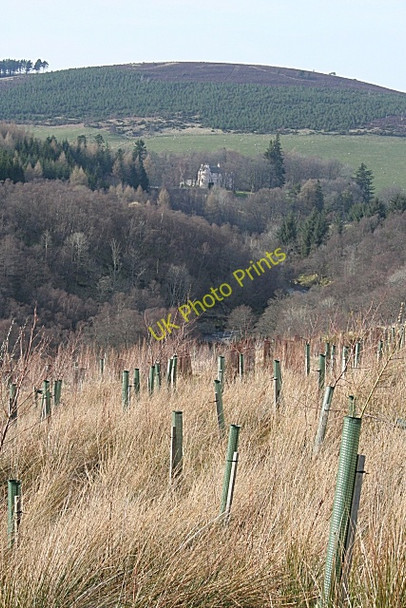 Photo 6"x4" Beldorney Castle Haugh of Glass c2009