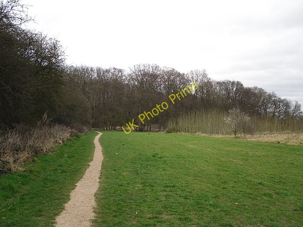 Photo 6"x4" Path towards Blackhouse Wood Emmer Green c2009
