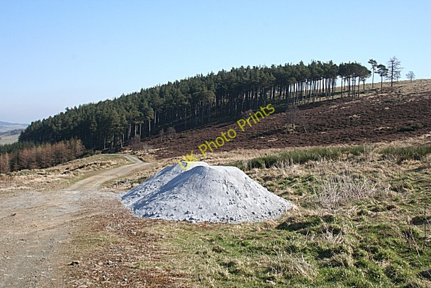 Photo 6"x4" Hill of Dumeath Haugh of Glass c2009
