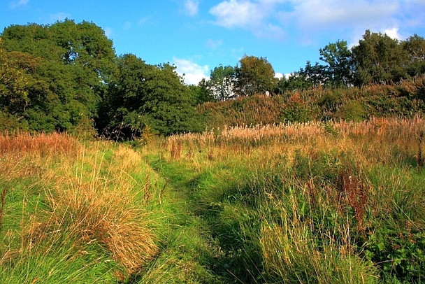 Photo 6"x4" Footpath to Battersby Battersby c2008